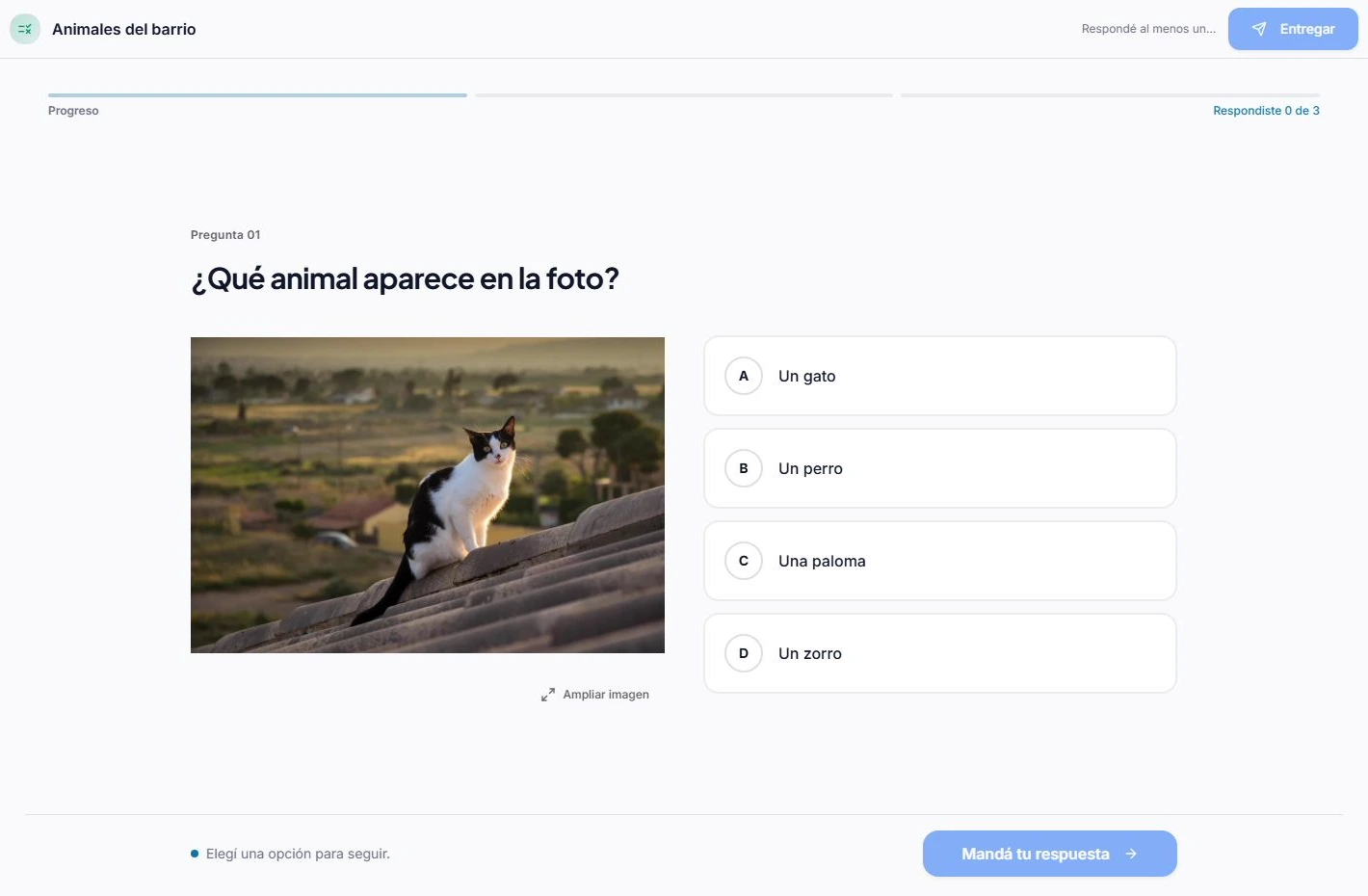 Vista del alumno con la pregunta Qué animal aparece en la foto, la imagen de un gato y las cuatro opciones de respuesta